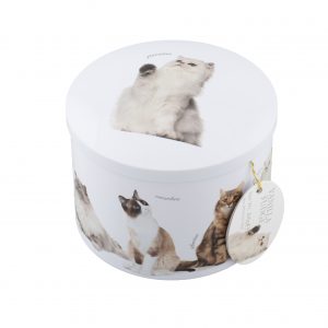 round white tin with various cats