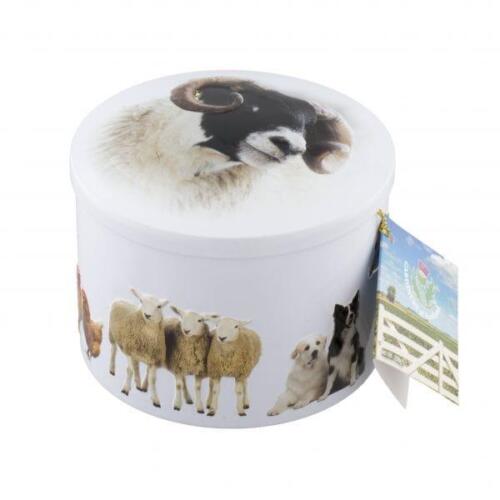 GCFAR1-e1533736177499-min