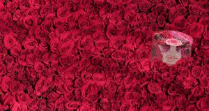 Valentines day fudge gift